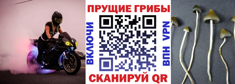 даркнет сайт  Курганинск  блэк спрут рабочий сайт  Галлюциногенные грибы ЛСД 