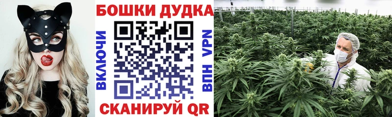МАРИХУАНА LSD WEED  hydra вход  Курганинск  цены наркотик 