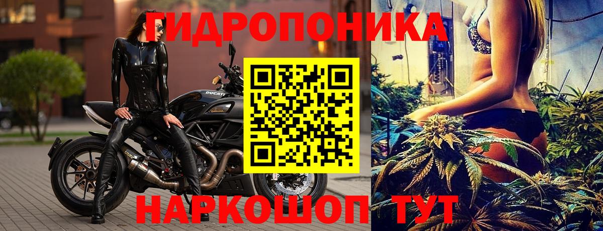 МАРИХУАНА Ganja Курганинск